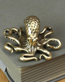Estatueta Decorativa de Polvo apoiada em livro