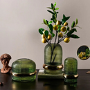 Conjunto de Vasos em Vidro Verde Escuro com planta dentro