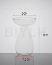 Vaso de Vidro Hidropônico para Cultivo de Abacate com medidas