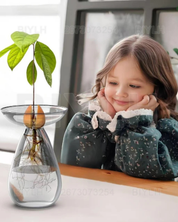 Vaso de Vidro Hidropônico para Cultivo de Abacate menina observando