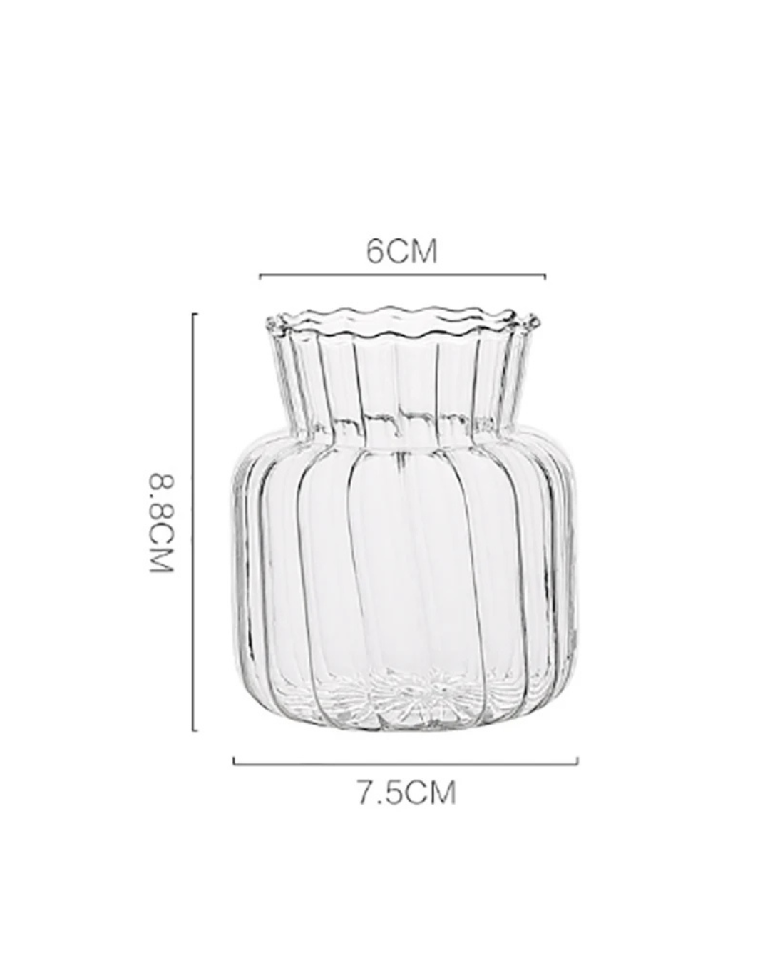 Medida 3 do Vaso de Vidro para flores