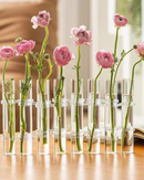 Conjunto de vasos de vidro para decoração com flores rosas sobre a mesa na luz solar