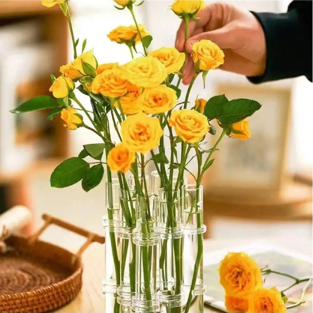 Vasos de Vidro Suspensos para Plantas Kit 4 ou 6 Unidades | Home Gaju