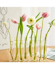Vasos de Vidro Suspensos para Plantas Kit 4 ou 6 Unidades | Home Gaju